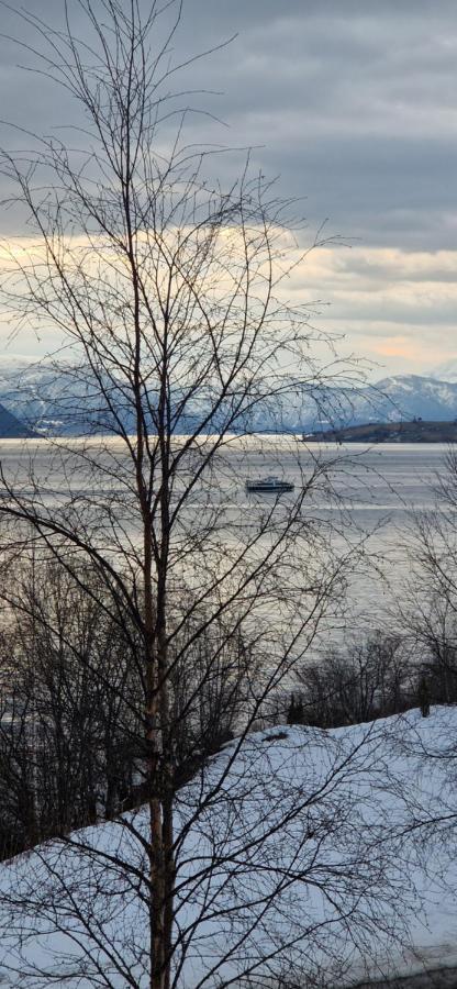 Frydenlund Villa Balestrand Kültér fotó