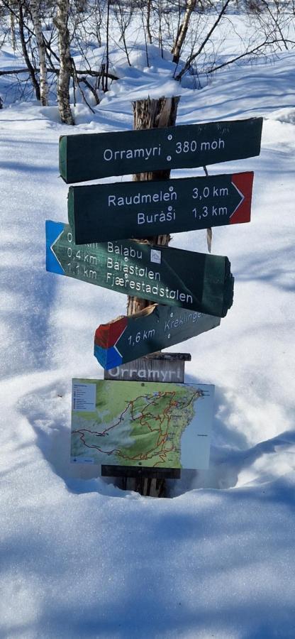 Frydenlund Villa Balestrand Kültér fotó