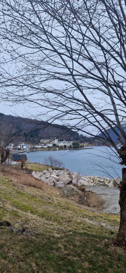 Frydenlund Villa Balestrand Kültér fotó