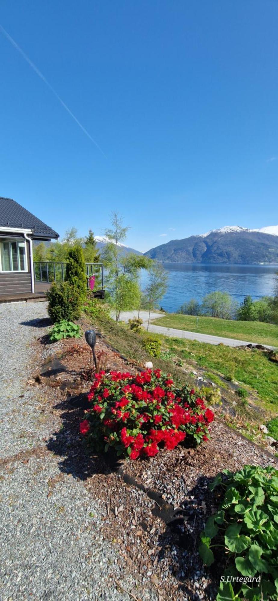 Frydenlund Villa Balestrand Kültér fotó